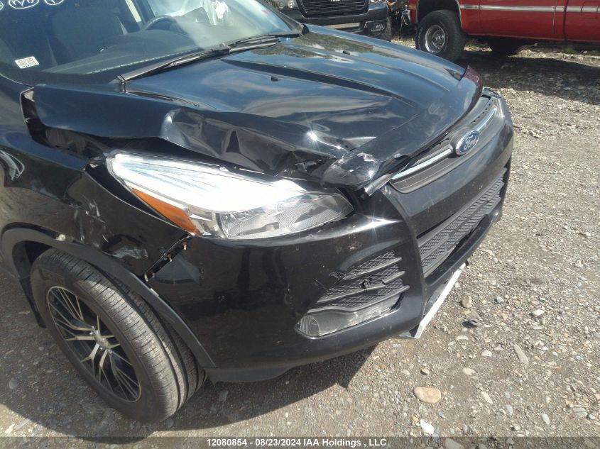 2016 Ford Escape Se VIN: 1FMCU9G95GUA56234 Lot: 12080854