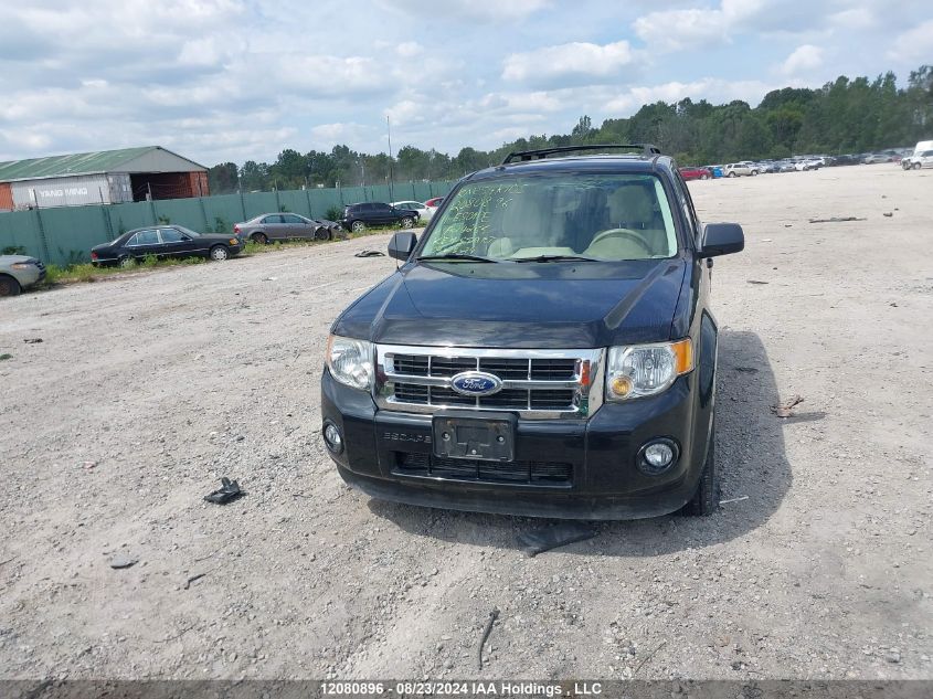 2011 Ford Escape Xlt VIN: 1FMCU9DG8BKA24255 Lot: 12080896