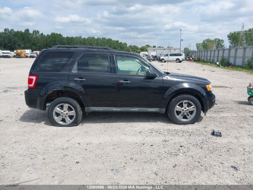 2011 Ford Escape Xlt VIN: 1FMCU9DG8BKA24255 Lot: 12080896