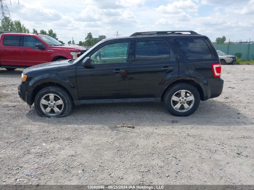 2011 Ford Escape Xlt VIN: 1FMCU9DG8BKA24255 Lot: 12080896