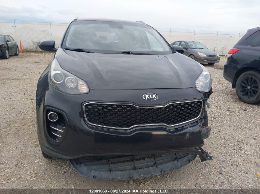 2017 Kia Sportage VIN: KNDPMCAC0H7134524 Lot: 12081069