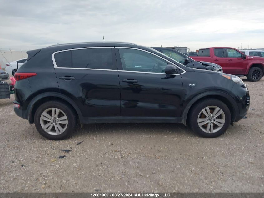 2017 Kia Sportage VIN: KNDPMCAC0H7134524 Lot: 12081069