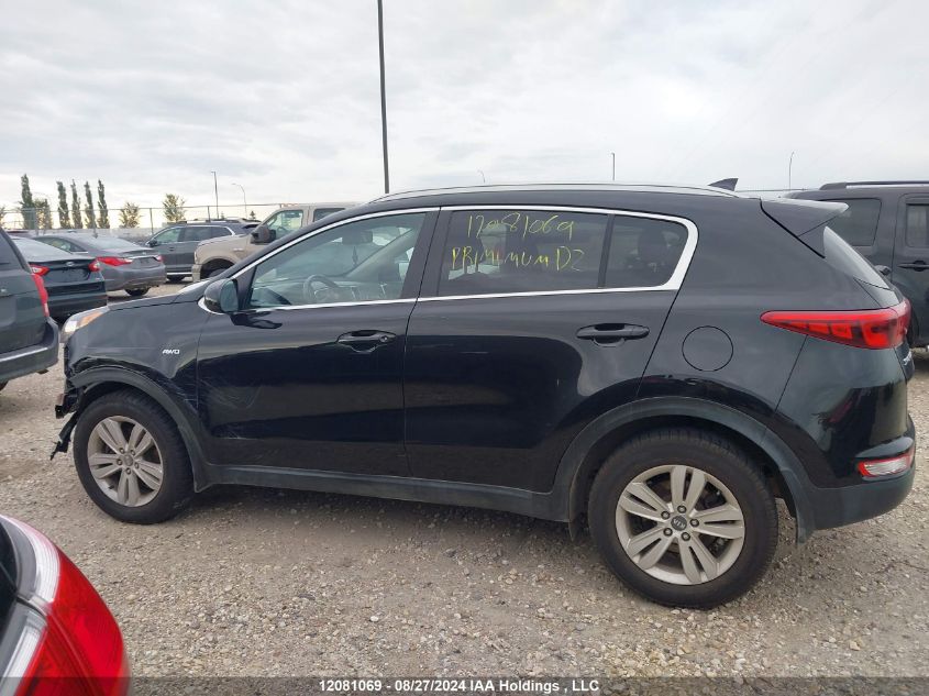 2017 Kia Sportage VIN: KNDPMCAC0H7134524 Lot: 12081069