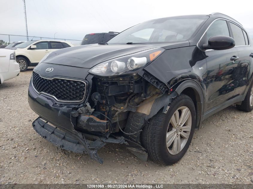 2017 Kia Sportage VIN: KNDPMCAC0H7134524 Lot: 12081069