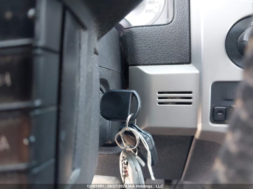 2010 Ford F-150 VIN: 1FTFW1EV6AFA04703 Lot: 12081091