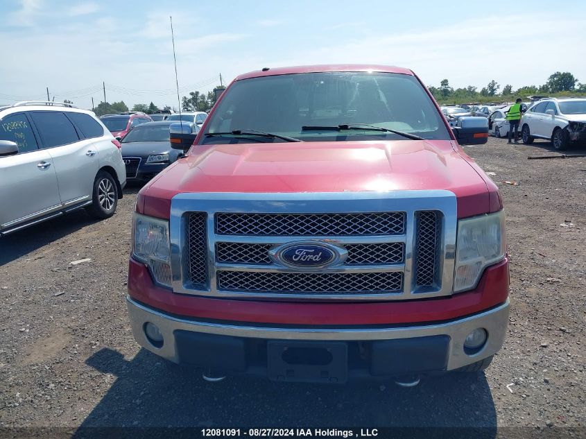 2010 Ford F-150 VIN: 1FTFW1EV6AFA04703 Lot: 12081091