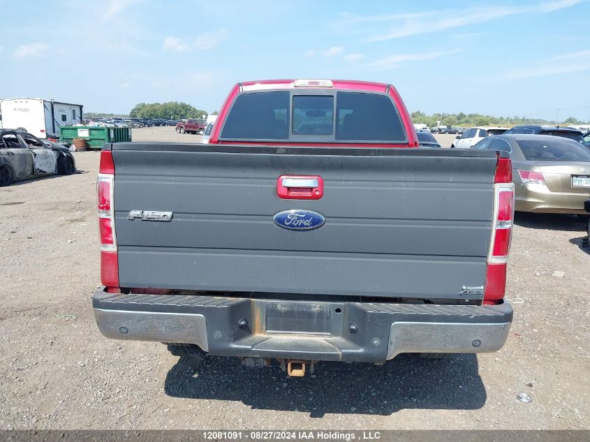 2010 Ford F-150 VIN: 1FTFW1EV6AFA04703 Lot: 12081091