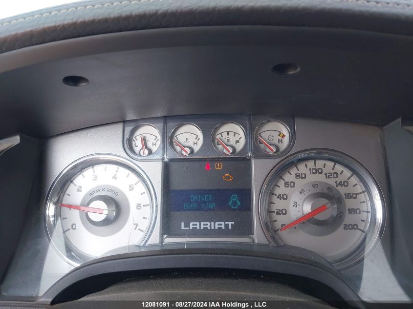 2010 Ford F-150 VIN: 1FTFW1EV6AFA04703 Lot: 12081091