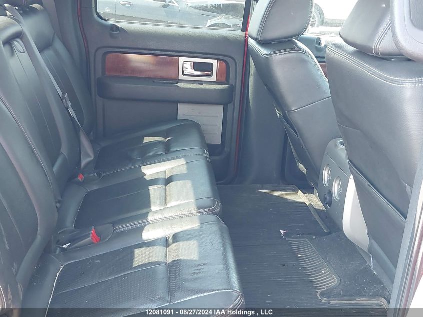 2010 Ford F-150 VIN: 1FTFW1EV6AFA04703 Lot: 12081091