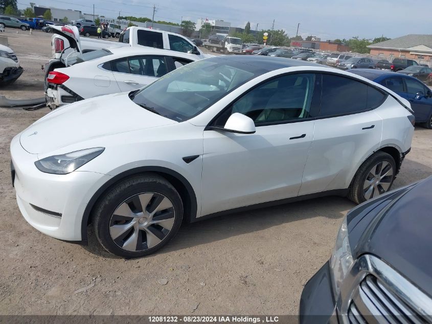 2022 Tesla Model Y VIN: 7SAYGAEEXNF533722 Lot: 12081232