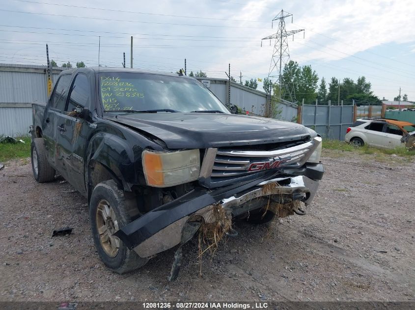 2009 GMC Sierra 1500 VIN: 3GTEK13M89G218393 Lot: 12081236