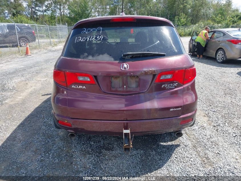 2009 Acura Rdx VIN: 5J8TB18259A800045 Lot: 12081239