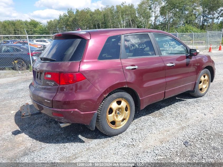 2009 Acura Rdx VIN: 5J8TB18259A800045 Lot: 12081239