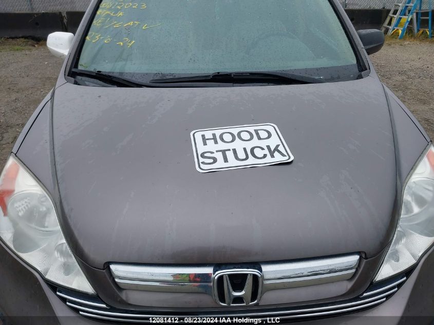 2009 Honda Cr-V Exl VIN: 5J6RE48769L812023 Lot: 12081412