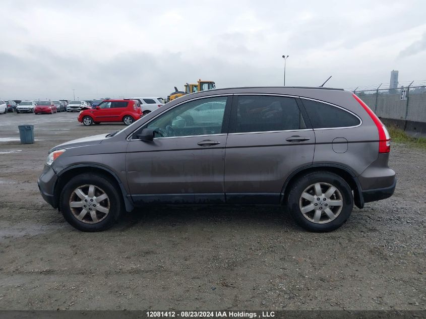 2009 Honda Cr-V Exl VIN: 5J6RE48769L812023 Lot: 12081412