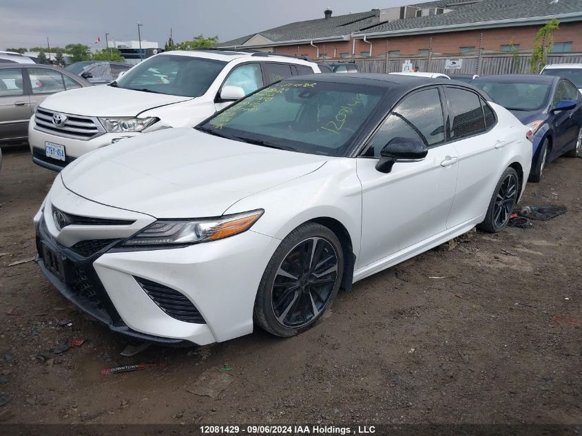 2019 Toyota Camry Xse VIN: 4T1B61HKXKU244202 Lot: 12081429