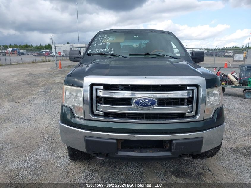 2013 Ford F-150 Xlt VIN: 1FTFX1EF9DKD62430 Lot: 12081565