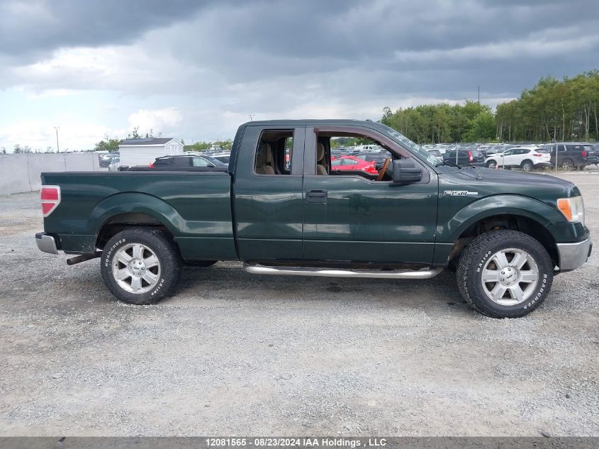 2013 Ford F-150 Xlt VIN: 1FTFX1EF9DKD62430 Lot: 12081565