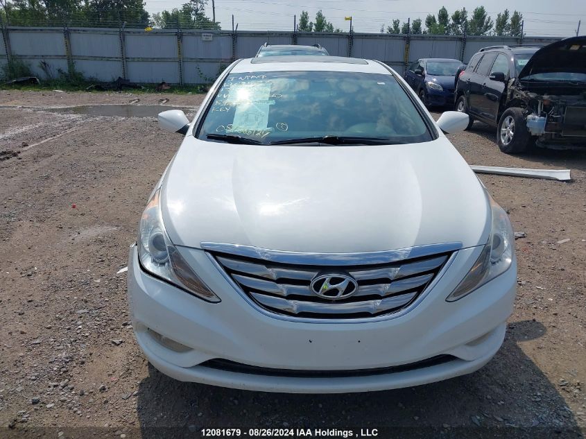 2013 Hyundai Sonata VIN: 5NPEB4AC7DH653367 Lot: 12081679