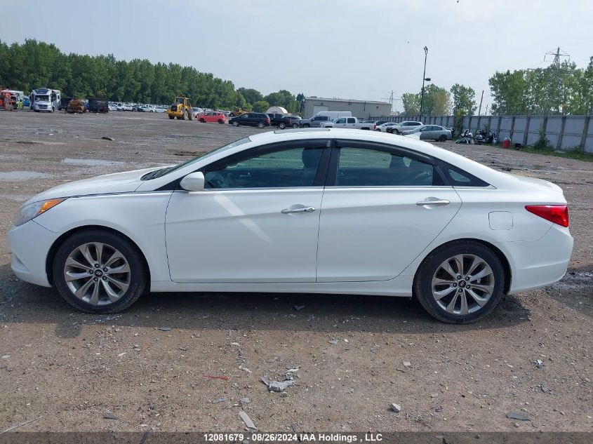 2013 Hyundai Sonata VIN: 5NPEB4AC7DH653367 Lot: 12081679