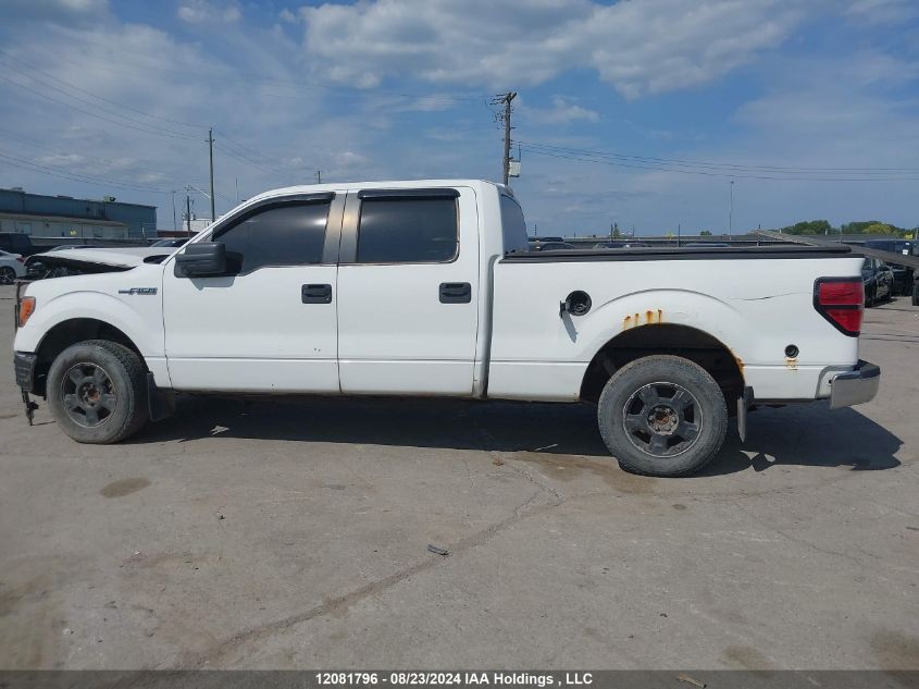 2010 Ford F-150 VIN: 1FTEW1C84AFB63597 Lot: 12081796