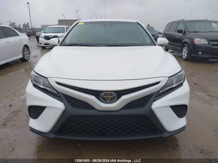 2019 Toyota Camry L/Le/Xle/Se/Xse VIN: 4T1B11HK8KU766423 Lot: 12081853