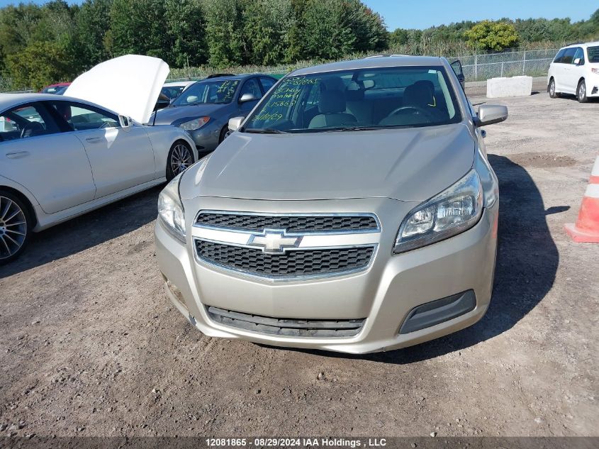 2013 Chevrolet Malibu VIN: 1G11B5SA7DF145663 Lot: 12081865