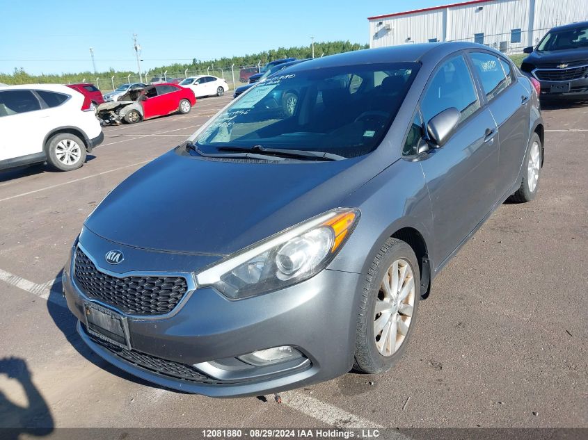 2014 Kia Forte VIN: KNAFX4A60E5179146 Lot: 12081880