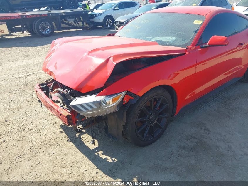 2017 Ford Mustang VIN: 1FA6P8AM2H5341412 Lot: 12082397