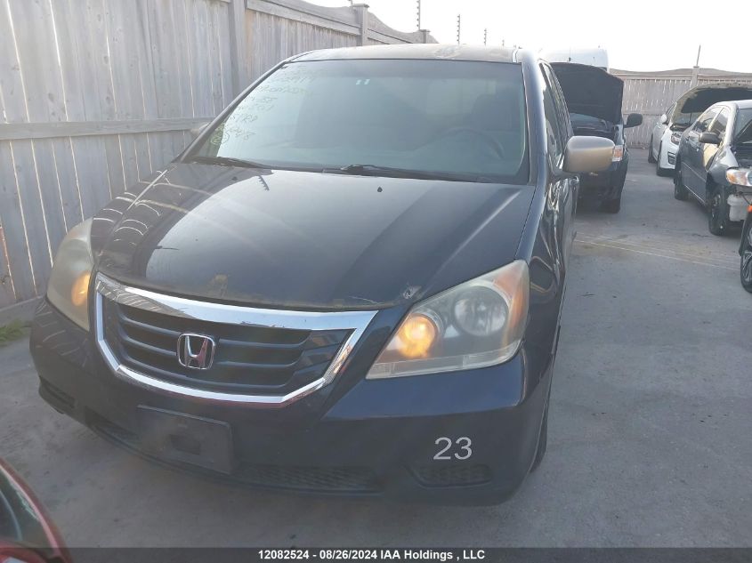 2009 Honda Odyssey VIN: 5FNRL38179B502919 Lot: 12082524