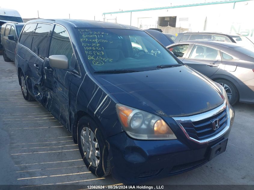 2009 Honda Odyssey VIN: 5FNRL38179B502919 Lot: 12082524