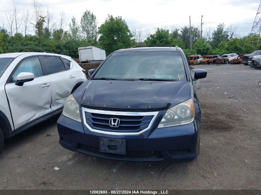 2010 Honda Odyssey VIN: 5FNRL3H6XAB501036 Lot: 12082693