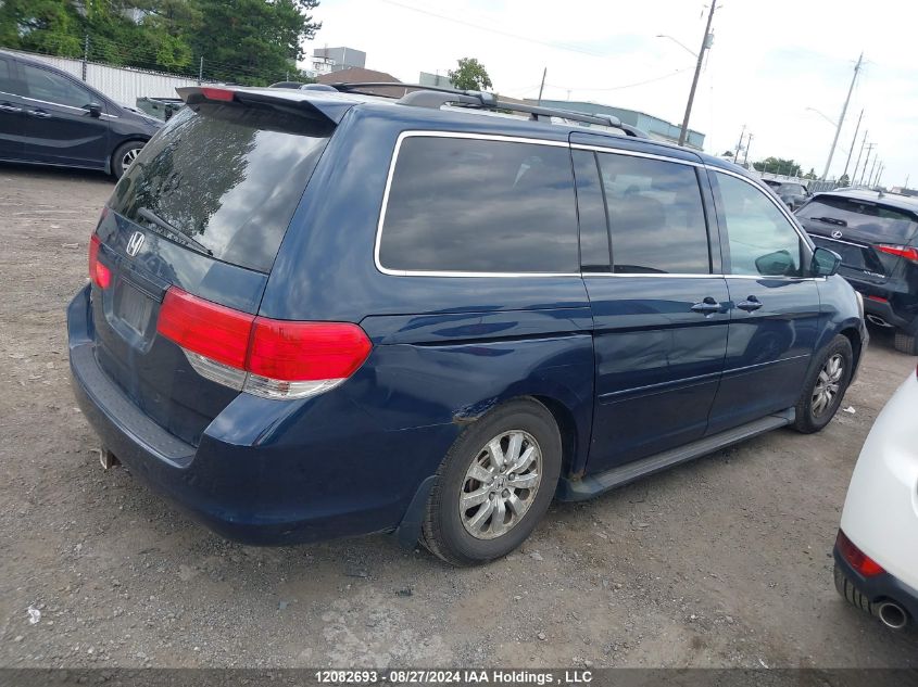 2010 Honda Odyssey VIN: 5FNRL3H6XAB501036 Lot: 12082693