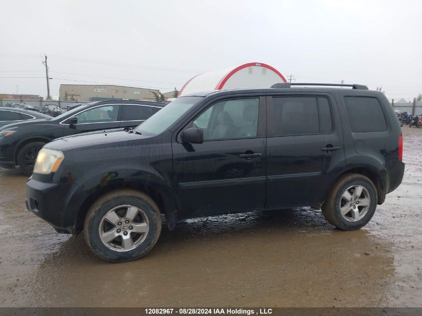 2011 Honda Pilot VIN: 5FNYF3H24BB501079 Lot: 12082967