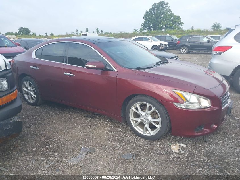 2010 Nissan Maxima 3.5 Sv VIN: 1N4AA5AP2AC837719 Lot: 12083067