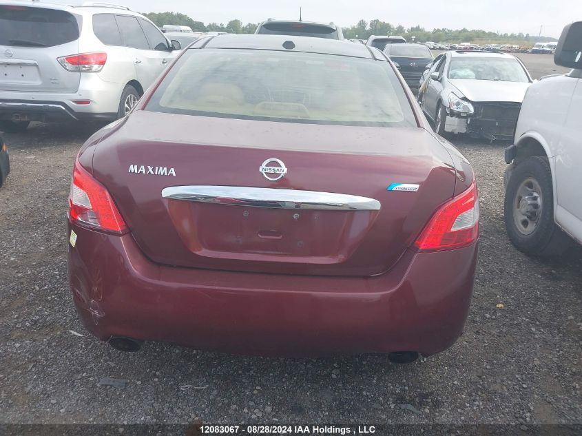 2010 Nissan Maxima 3.5 Sv VIN: 1N4AA5AP2AC837719 Lot: 12083067