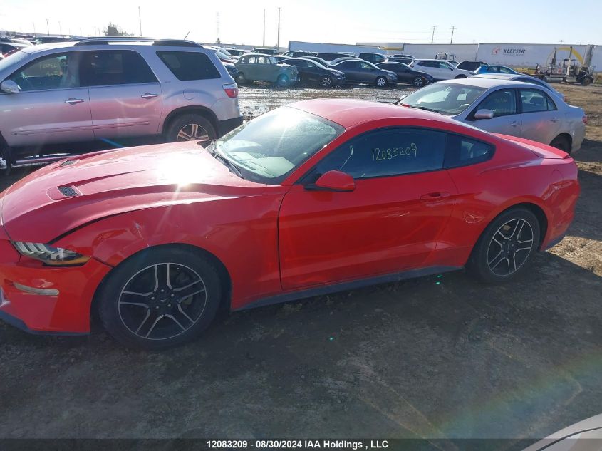 2019 Ford Mustang Ecoboost VIN: 1FA6P8TH3K5111014 Lot: 12083209