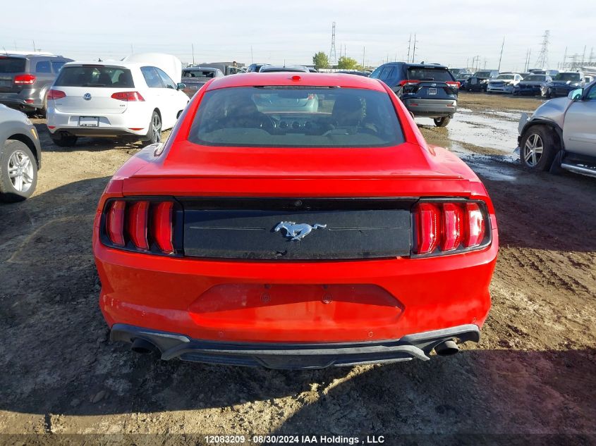 2019 Ford Mustang Ecoboost VIN: 1FA6P8TH3K5111014 Lot: 12083209