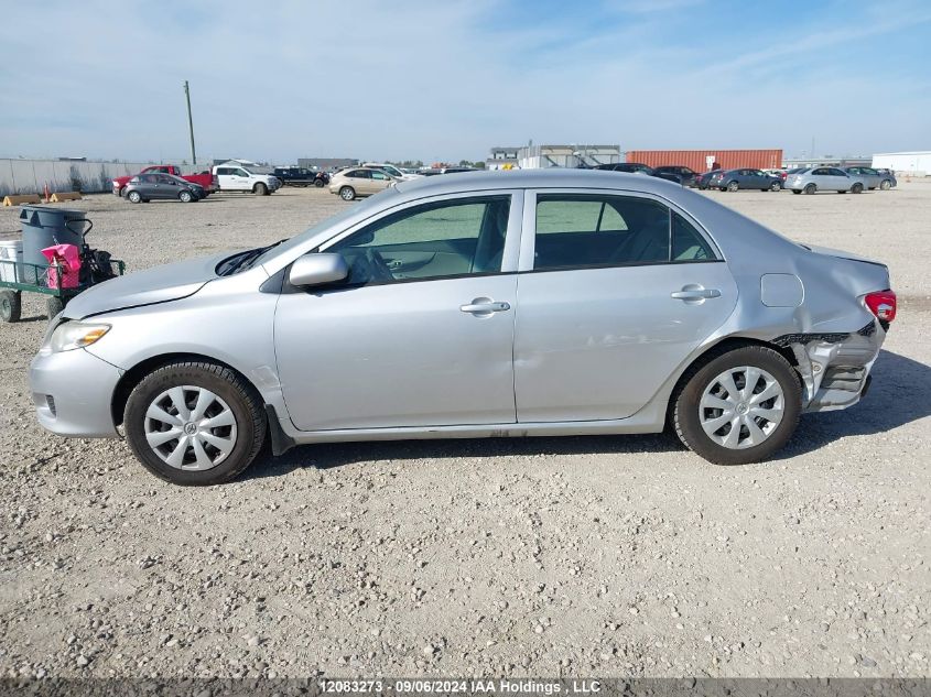 2010 Toyota Corolla VIN: 2T1BU4EE8AC256385 Lot: 12083273