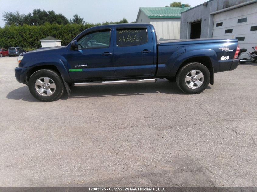 2008 Toyota Tacoma V6 VIN: 5TEMU52NX8Z589467 Lot: 12083325