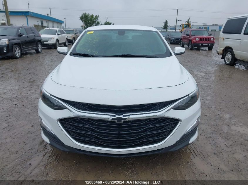 2020 Chevrolet Malibu VIN: 1G1ZG5ST6LF094371 Lot: 12083468