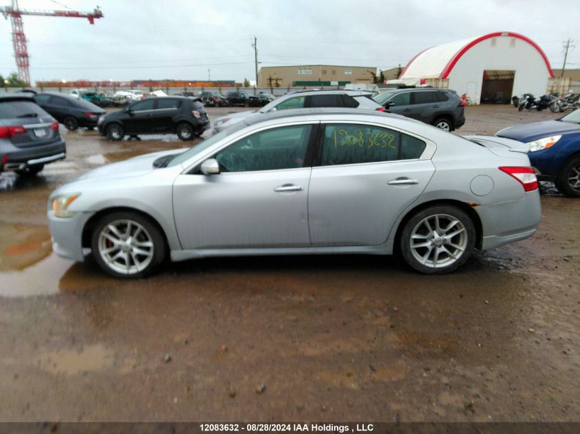 2009 Nissan Maxima 3.5 S VIN: 1N4AA51E39C805419 Lot: 12083632