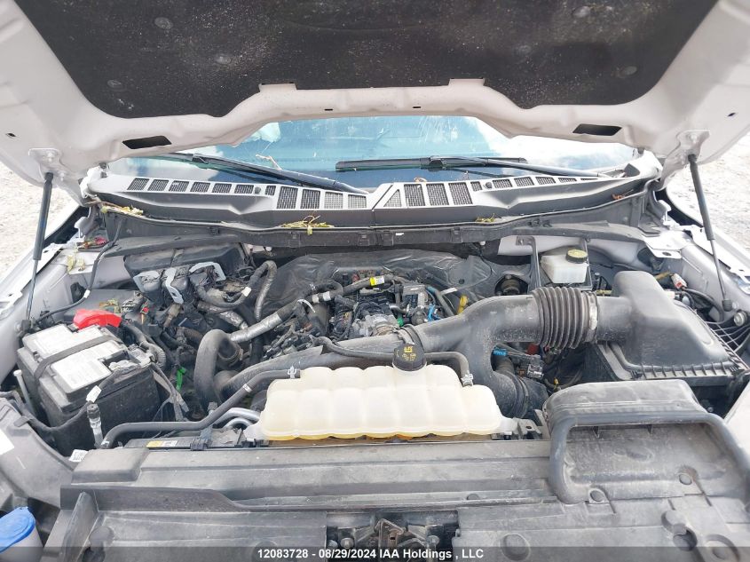 2023 Ford F-150 Xlt VIN: 1FTEW1EP6PFB10428 Lot: 12083728