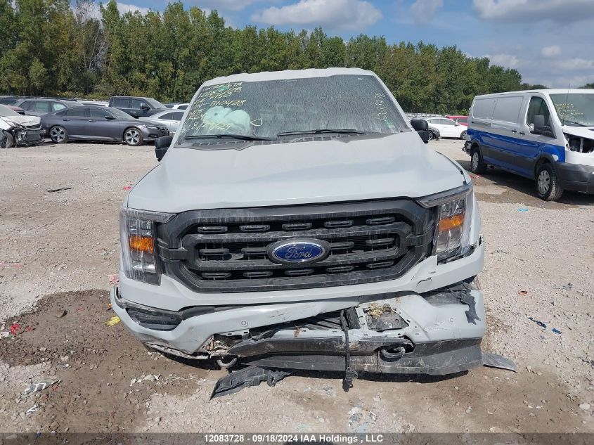 2023 Ford F-150 Xlt VIN: 1FTEW1EP6PFB10428 Lot: 12083728