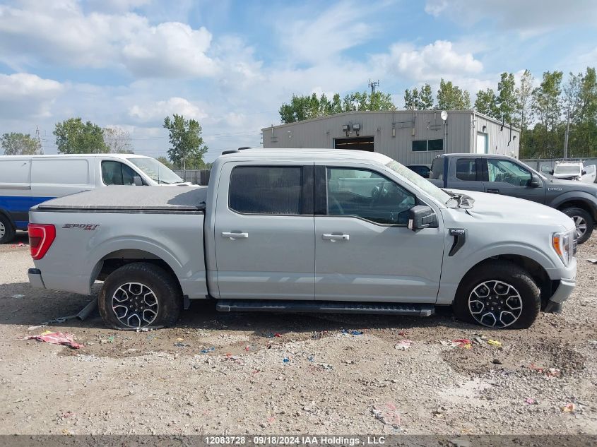 2023 Ford F-150 Xlt VIN: 1FTEW1EP6PFB10428 Lot: 12083728