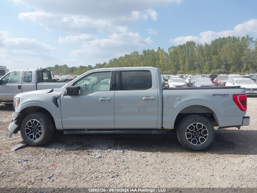 2023 Ford F-150 Xlt VIN: 1FTEW1EP6PFB10428 Lot: 12083728