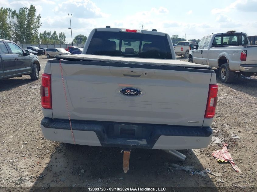 2023 Ford F-150 Xlt VIN: 1FTEW1EP6PFB10428 Lot: 12083728