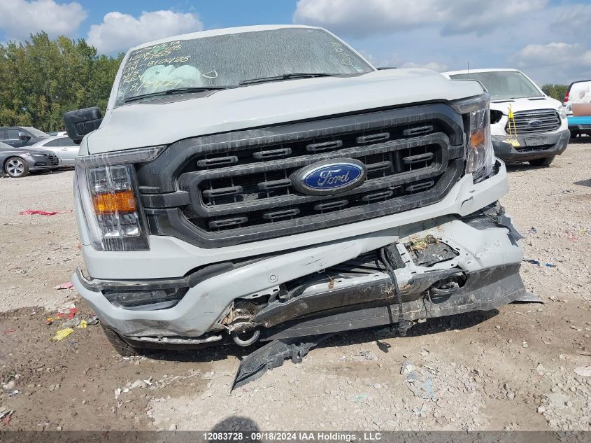 2023 Ford F-150 Xlt VIN: 1FTEW1EP6PFB10428 Lot: 12083728