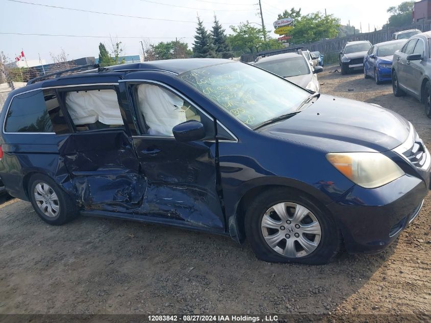 2008 Honda Odyssey VIN: 5FNRL38498B502784 Lot: 12083842