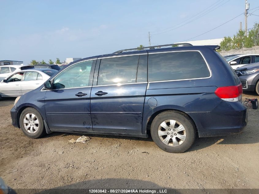 2008 Honda Odyssey VIN: 5FNRL38498B502784 Lot: 12083842